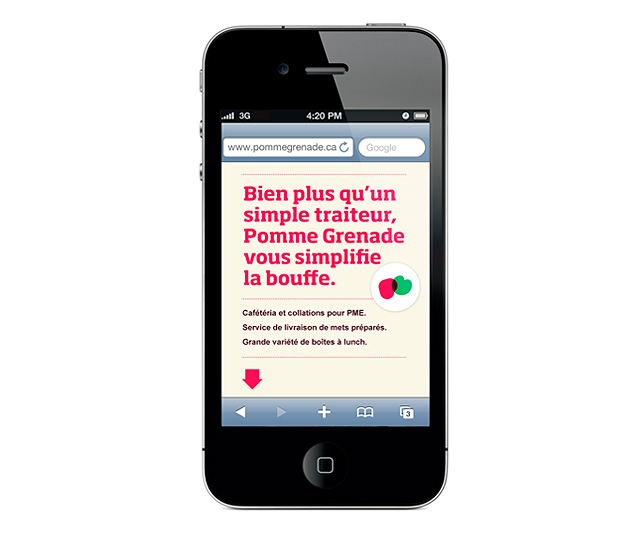 3399 : Pomme grenade - Identité visuelle et web